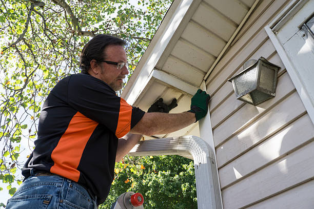 Best Hoarding Cleanup  in Vista, CA